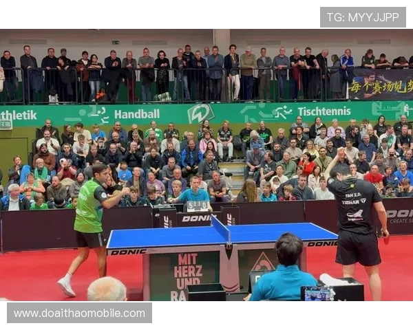 MK体育官网平台最新资讯与全面攻略，助你轻松掌握游戏最新动态